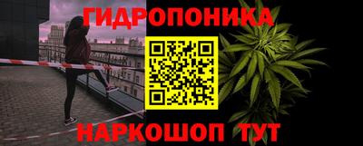 шишки Тара