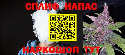 шишки Тара