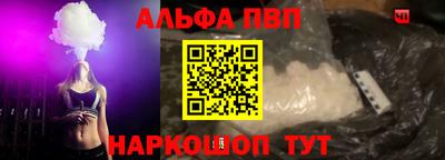 шишки Тара