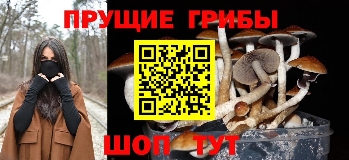Галлюциногенные грибы мухоморы Спасск-Дальний