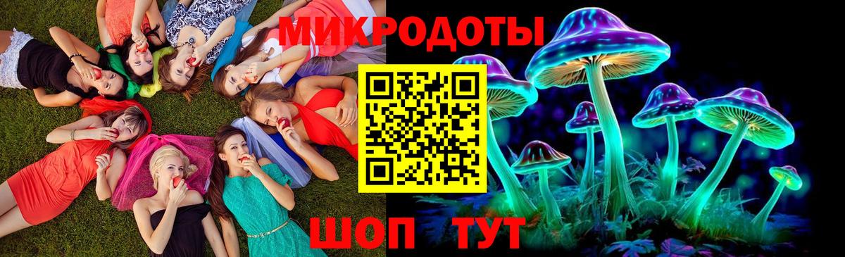 Спасск-Дальний  Галлюциногенные грибы ЛСД  Вход с VPN 